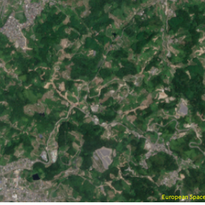 松山市西谷付近Sentinel-2画像[撮影：7月13日/カラー：RGBコンポジット]