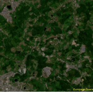 松山市西谷付近Sentinel-2画像[撮影：6月13日/カラー：RGBコンポジット]